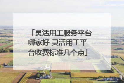 灵活用工服务平台哪家好 灵活用工平台收费标准几个点