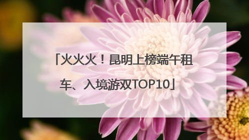 火火火！昆明上榜端午租车、入境游双TOP10
