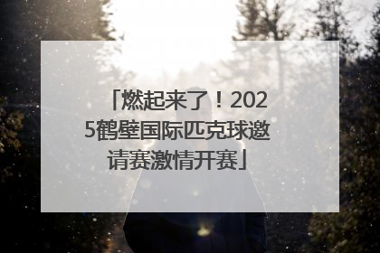 燃起来了！2025鹤壁国际匹克球邀请赛激情开赛