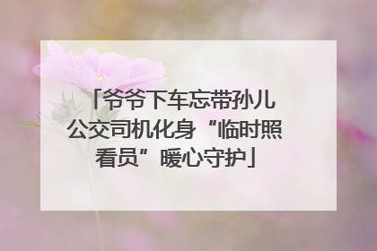 爷爷下车忘带孙儿 公交司机化身“临时照看员”暖心守护