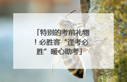 特别的考前礼物！必胜客“逢考必胜”暖心助考