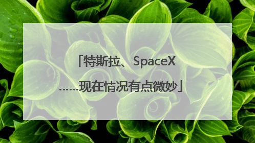 特斯拉、SpaceX……现在情况有点微妙