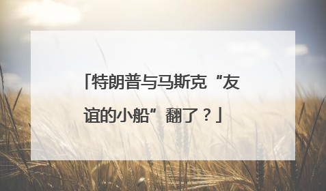 特朗普与马斯克“友谊的小船”翻了？