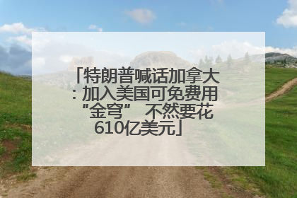 特朗普喊话加拿大：加入美国可免费用“金穹” 不然要花610亿美元