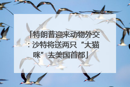 特朗普迎来动物外交：沙特将送两只“大猫咪”去美国首都