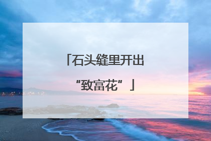 石头缝里开出“致富花”