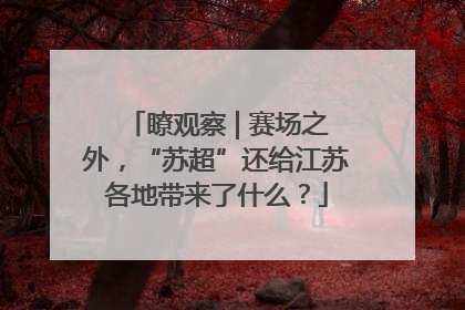 瞭观察 | 赛场之外，“苏超”还给江苏各地带来了什么？