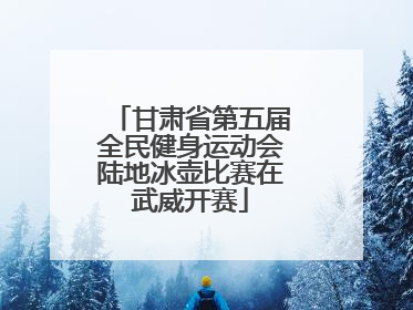 甘肃省第五届全民健身运动会陆地冰壶比赛在武威开赛