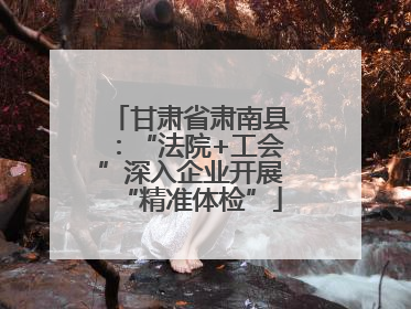 甘肃省肃南县：“法院+工会”深入企业开展“精准体检”