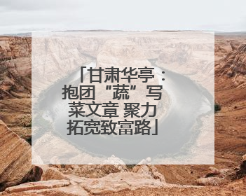 甘肃华亭：抱团“蔬”写菜文章 聚力拓宽致富路