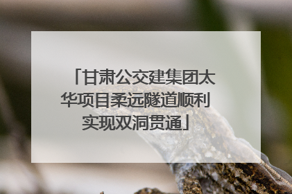 甘肃公交建集团太华项目柔远隧道顺利实现双洞贯通