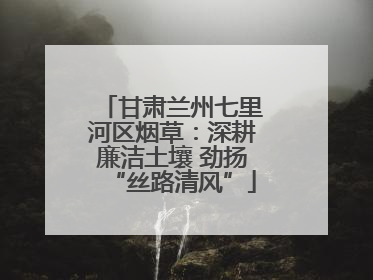 甘肃兰州七里河区烟草：深耕廉洁土壤 劲扬“丝路清风”