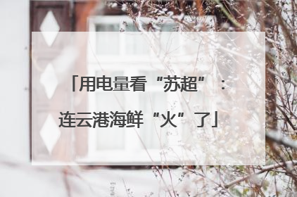 用电量看“苏超”：连云港海鲜“火”了