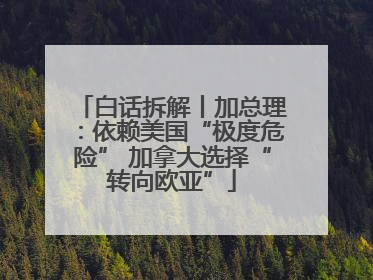 白话拆解丨加总理：依赖美国“极度危险” 加拿大选择“转向欧亚”