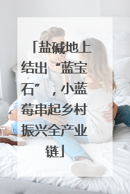 盐碱地上结出“蓝宝石”，小蓝莓串起乡村振兴全产业链