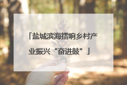 盐城滨海擂响乡村产业振兴“奋进鼓”