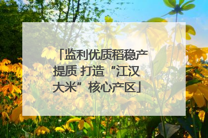 监利优质稻稳产提质 打造“江汉大米”核心产区