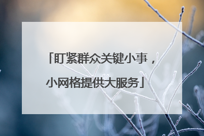 盯紧群众关键小事，小网格提供大服务