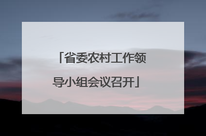 省委农村工作领导小组会议召开
