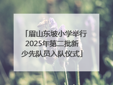 眉山东坡小学举行2025年第二批新少先队员入队仪式