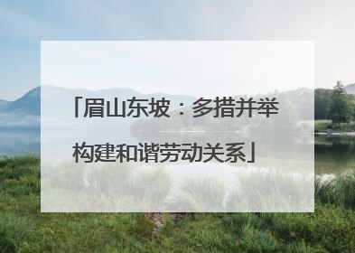 眉山东坡：多措并举构建和谐劳动关系