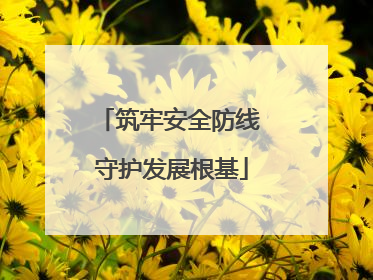 筑牢安全防线 守护发展根基