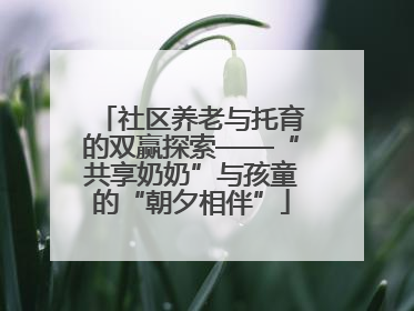 社区养老与托育的双赢探索——“共享奶奶”与孩童的“朝夕相伴”