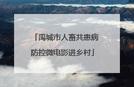 禹城市人畜共患病防控微电影进乡村