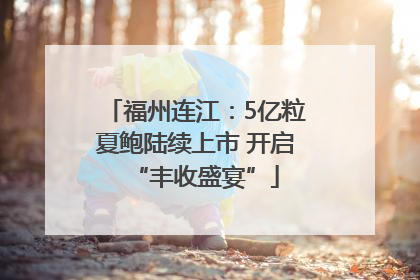 福州连江：5亿粒夏鲍陆续上市 开启“丰收盛宴”