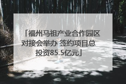 福州马祖产业合作园区对接会举办 签约项目总投资85.5亿元