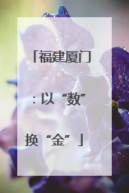 福建厦门：以“数”换“金”