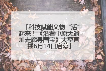 科技赋能文物“活”起来！《沿着中原大遗址走廊寻国宝》大型直播6月14日启幕