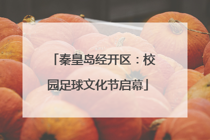 秦皇岛经开区：校园足球文化节启幕