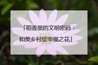 稻香里的文明密码：和美乡村绽幸福之花