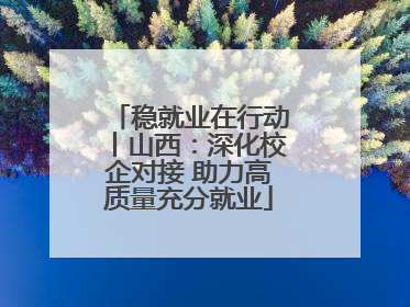 稳就业在行动丨山西：深化校企对接 助力高质量充分就业