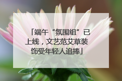 端午“氛围组”已上线，文艺范艾草装饰受年轻人追捧