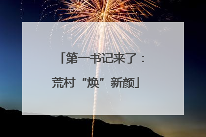 第一书记来了：荒村“焕”新颜