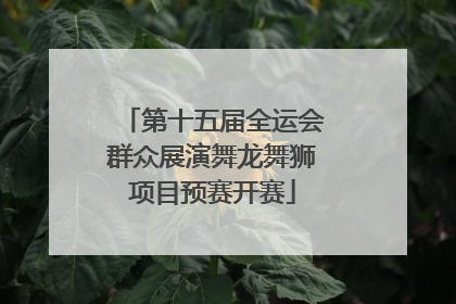 第十五届全运会群众展演舞龙舞狮项目预赛开赛