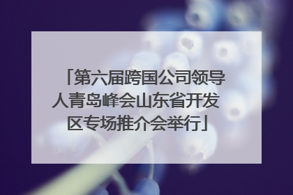 第六届跨国公司领导人青岛峰会山东省开发区专场推介会举行