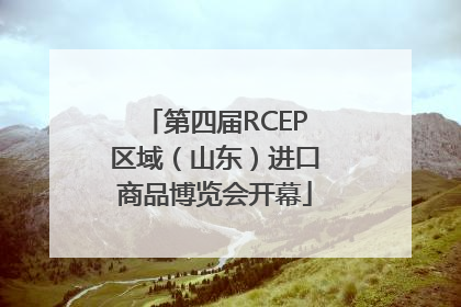 第四届RCEP区域（山东）进口商品博览会开幕