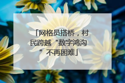 网格员搭桥，村民跨越“数字鸿沟”不再困难