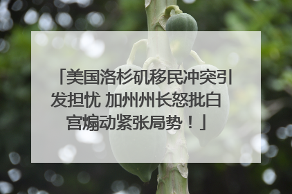 美国洛杉矶移民冲突引发担忧 加州州长怒批白宫煽动紧张局势！