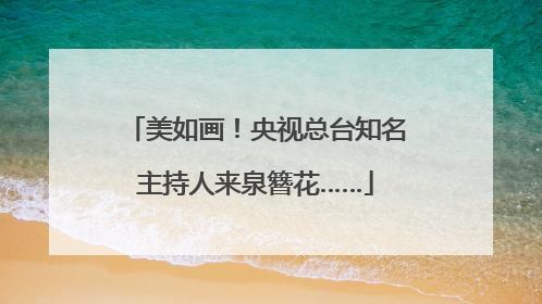 美如画！央视总台知名主持人来泉簪花……