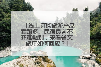 线上订购旅游产品套路多、民宿良莠不齐难甄别，来看省文旅厅如何回应？