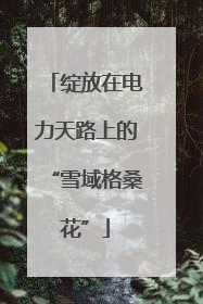 绽放在电力天路上的“雪域格桑花”