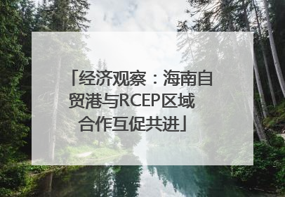 经济观察：海南自贸港与RCEP区域合作互促共进