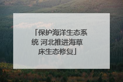 保护海洋生态系统 河北推进海草床生态修复