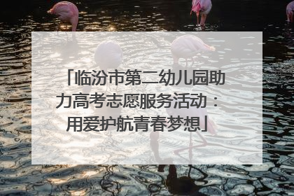 临汾市第二幼儿园助力高考志愿服务活动：用爱护航青春梦想