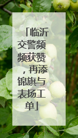 临沂交警频频获赞，再添锦旗与表扬工单