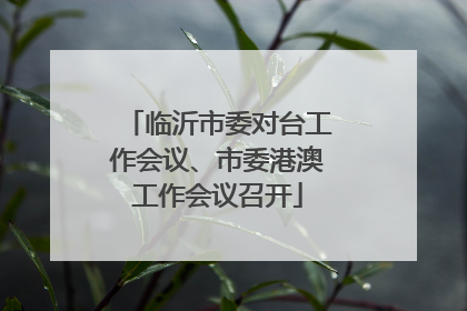临沂市委对台工作会议、市委港澳工作会议召开